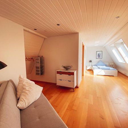 Rheinloft 3 - Grosse Giebelwohnung Mit Dachterrassen An Der Rheinpromenade Emmerich Exterior foto
